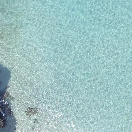 Holiday Torre Dell'orso M566